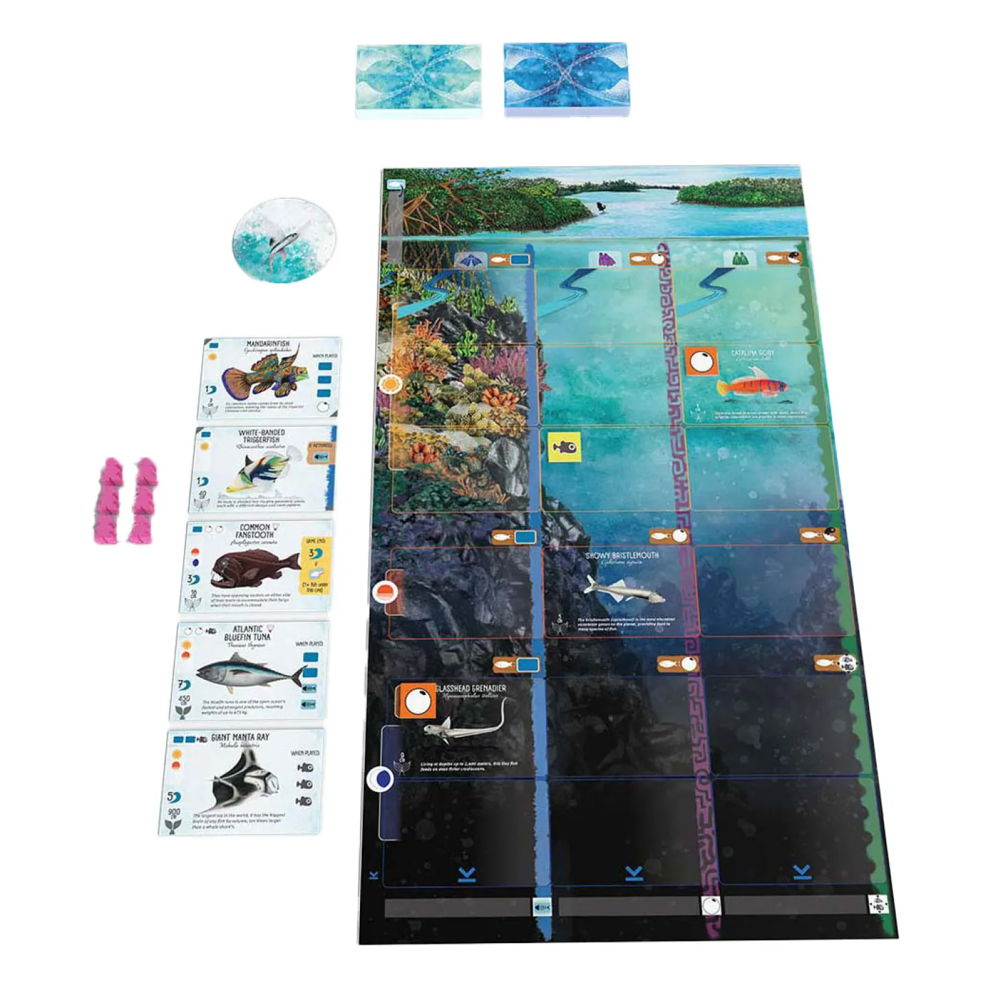 999 Games Finspan Bordspel