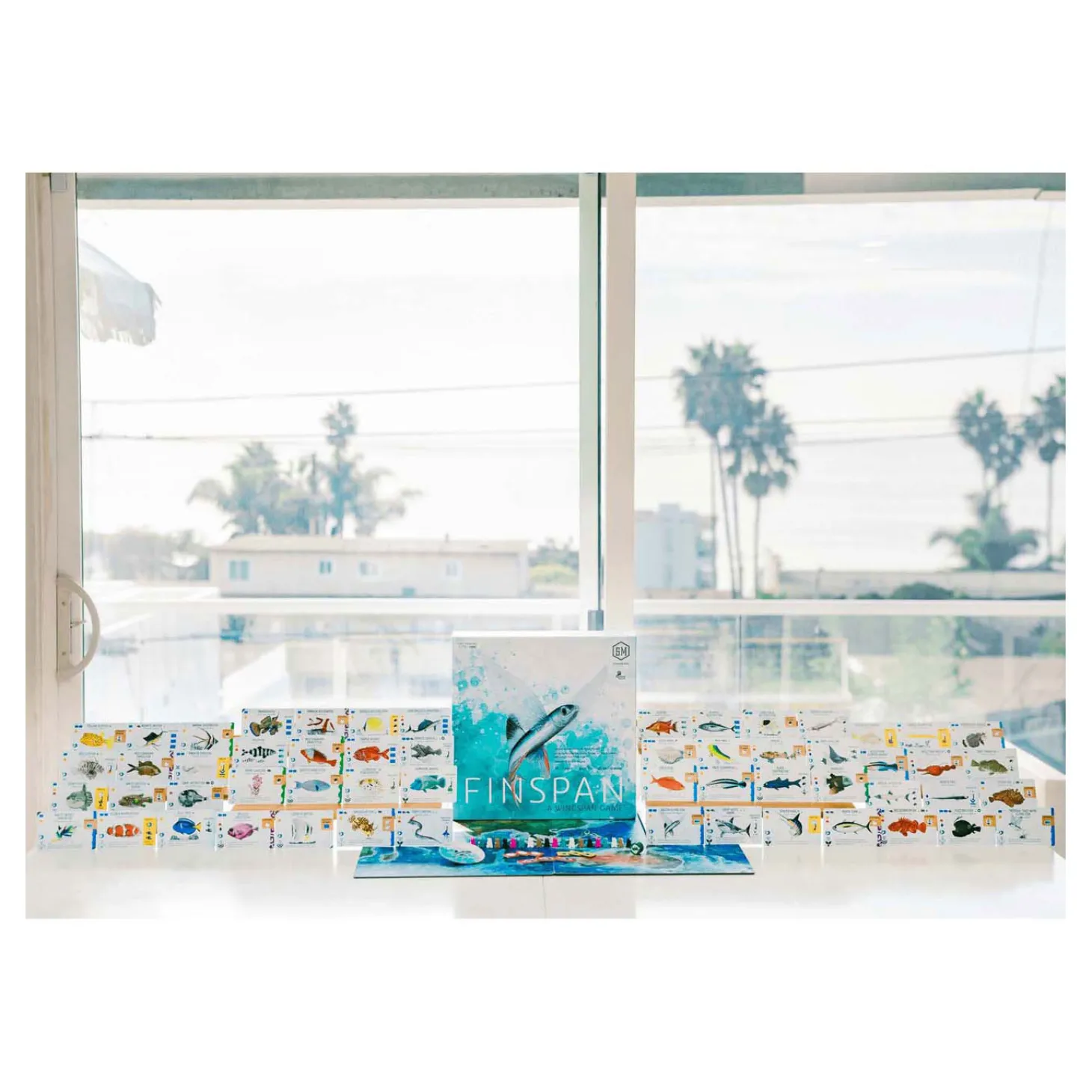 999 Games Finspan Bordspel