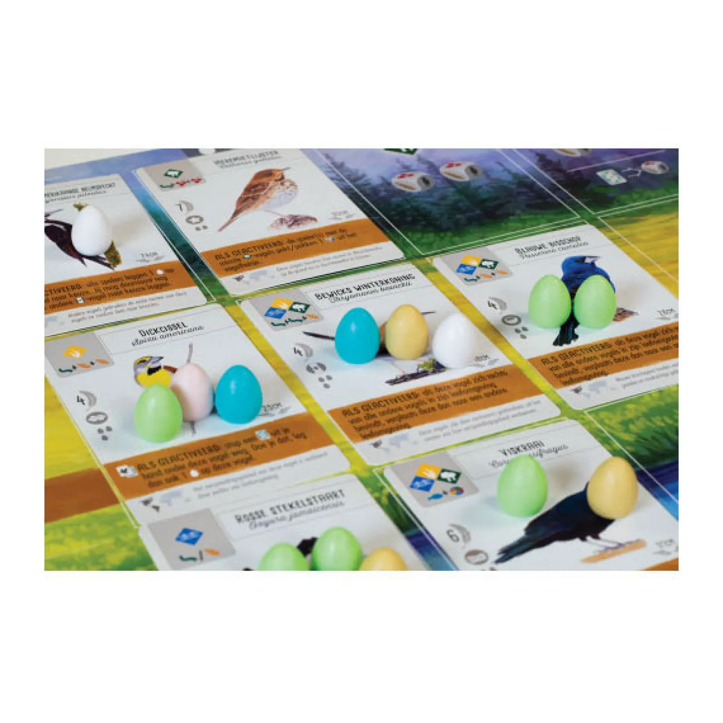 999 Games Wingspan Bordspel