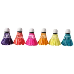 6 Veren Shuttles in Koker - Kleur