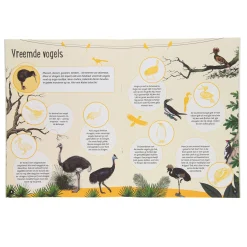 50 Weetjes 50 Stickers - Vogels