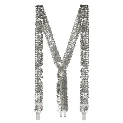 Accessoireset Zilver