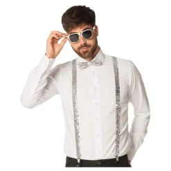 Accessoireset Zilver