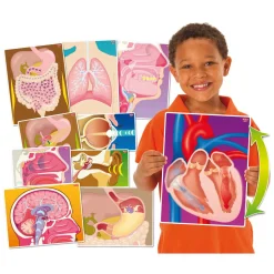 Actiekaarten mijn Lichaam - 10 Kaarten