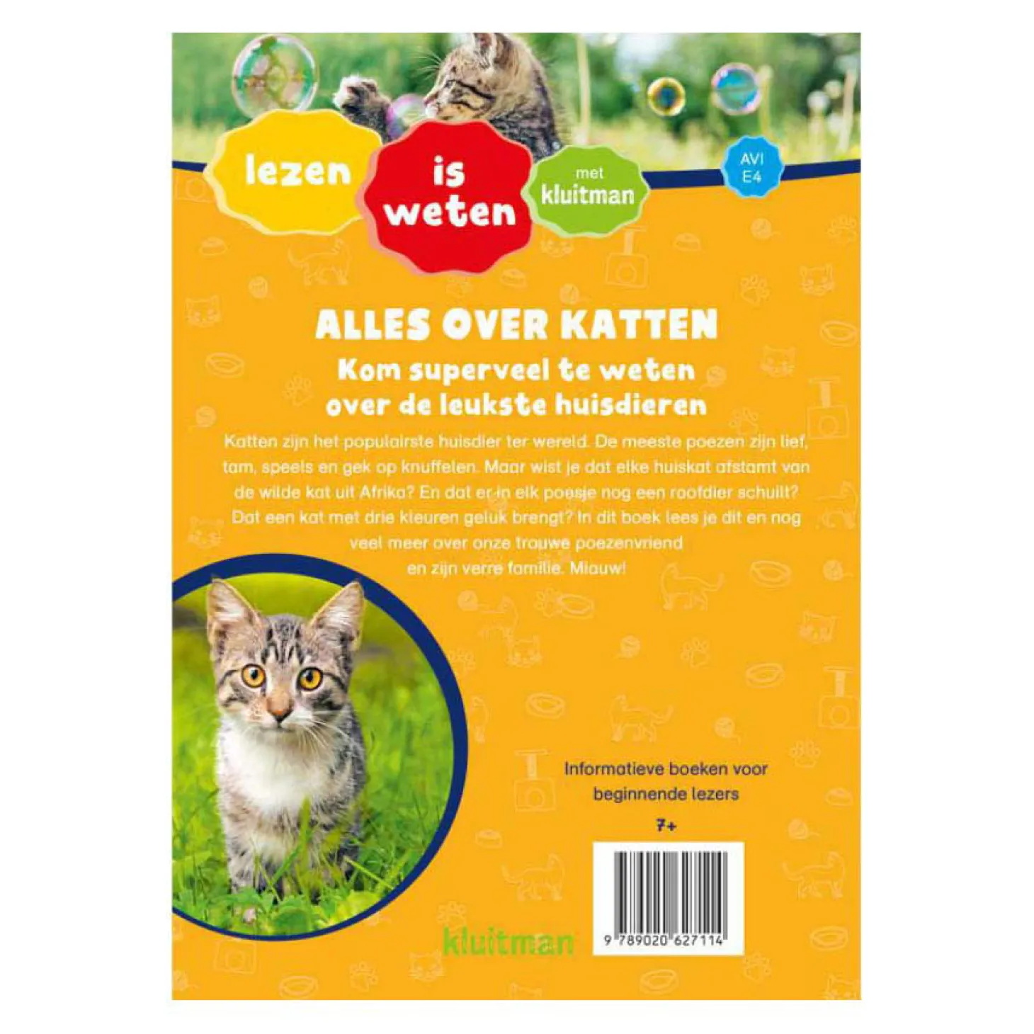 Alles Over Katten AVI E4