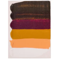 Amsterdam Standard Series Acrylverf Portret Set 20ml, 6dlg.