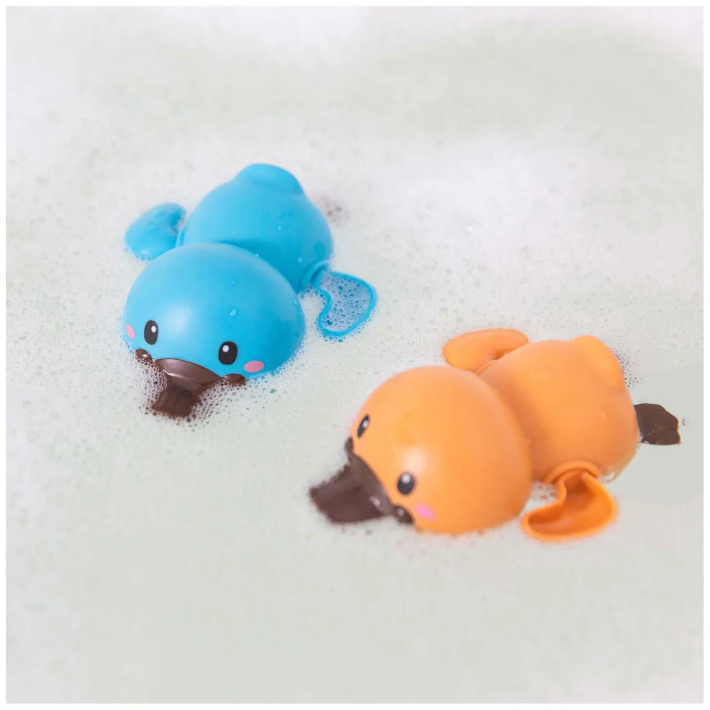 Badracers - Vogelbekdieren