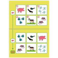 Bambino Loco Pakket Kikker Spelen en Leren