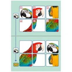 Bambino Loco Starterspakket (3-5 jaar)