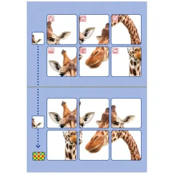 Bambino Loco Starterspakket (3-5 jaar)