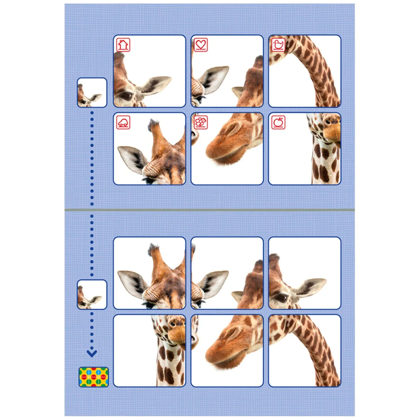 Bambino Loco Starterspakket (3-5 jaar)