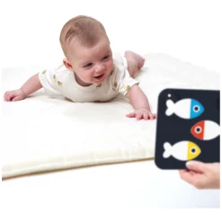 Banana Panda - Hoog Contrast Babykaarten 0m+ / 3m+ - 24st.