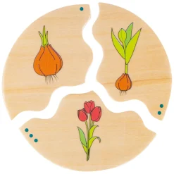 Beleduc Nawito Natuur Evolutie  Houten Kinderspel