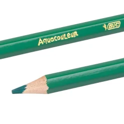 BIC Kids Aquacouleur, 24st.