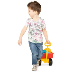 Bolderkar met Zandspeelgoed