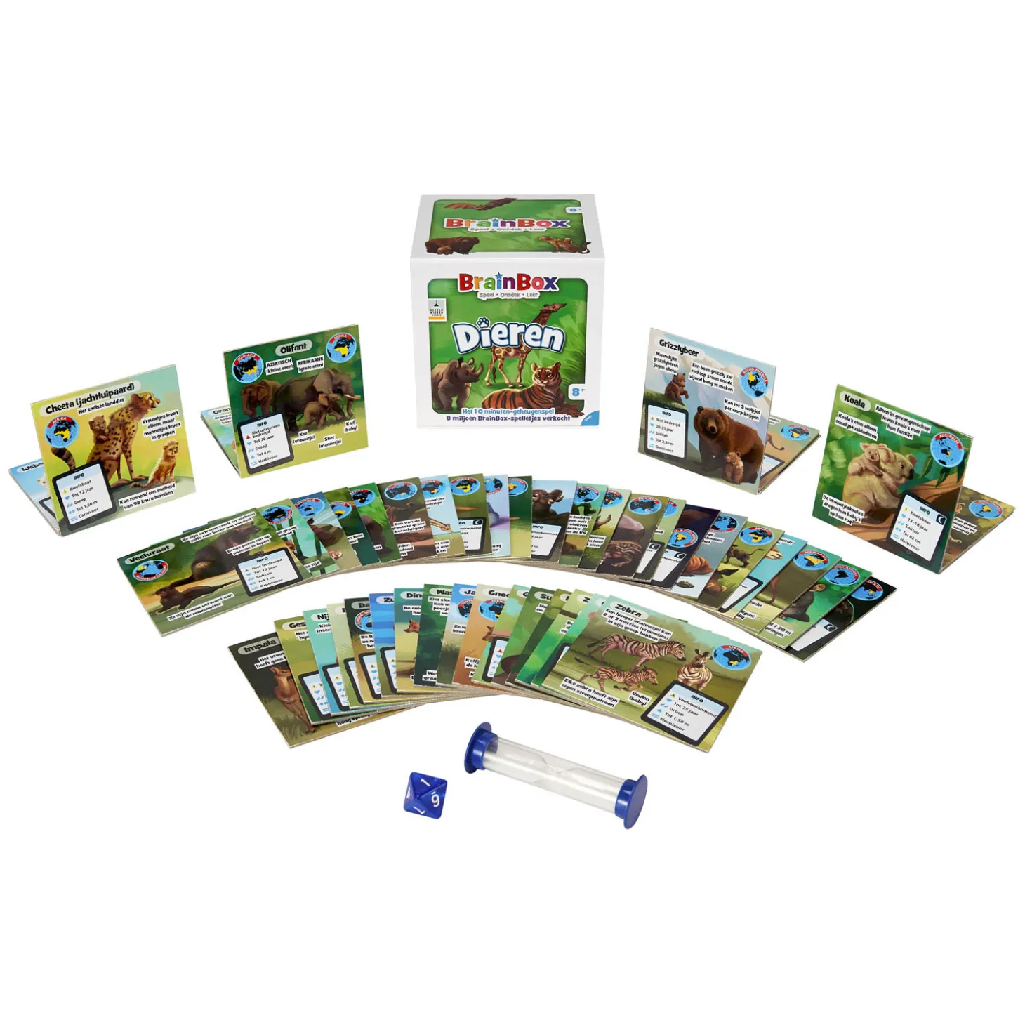 BrainBox Dieren Bordspel