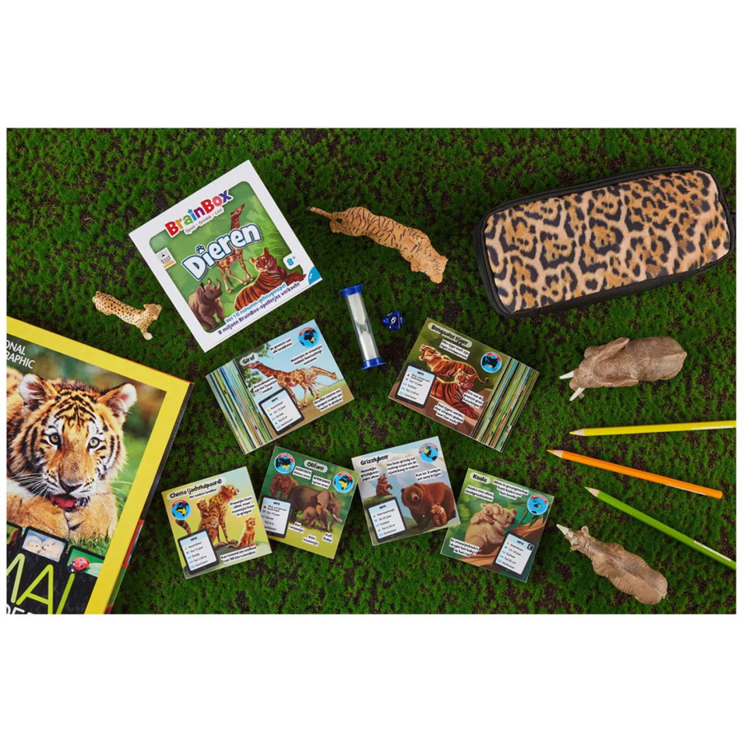 BrainBox Dieren Bordspel