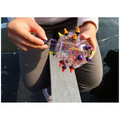 Brainstring Advanced Breinbreker Puzzel