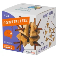 Breinpuzzel NO4: Occipatale Kwab - Breinbreker