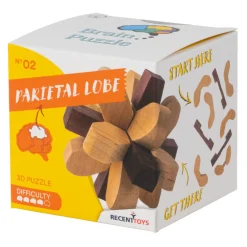 Breinpuzzel NO2: Parietale Kwab - Breinbreker