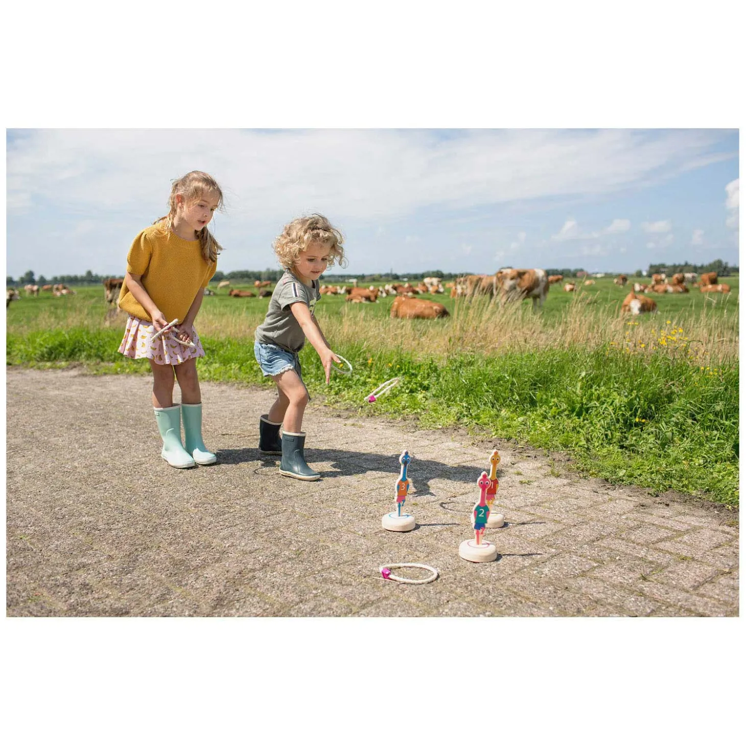BS Toys Ringwerpen Vogels Hout - Werpspel