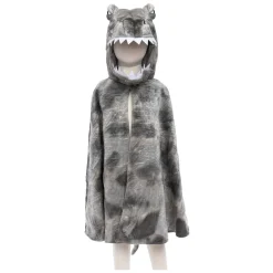 Cape Grandasaurus Spinosaurus, 4-6 jaar