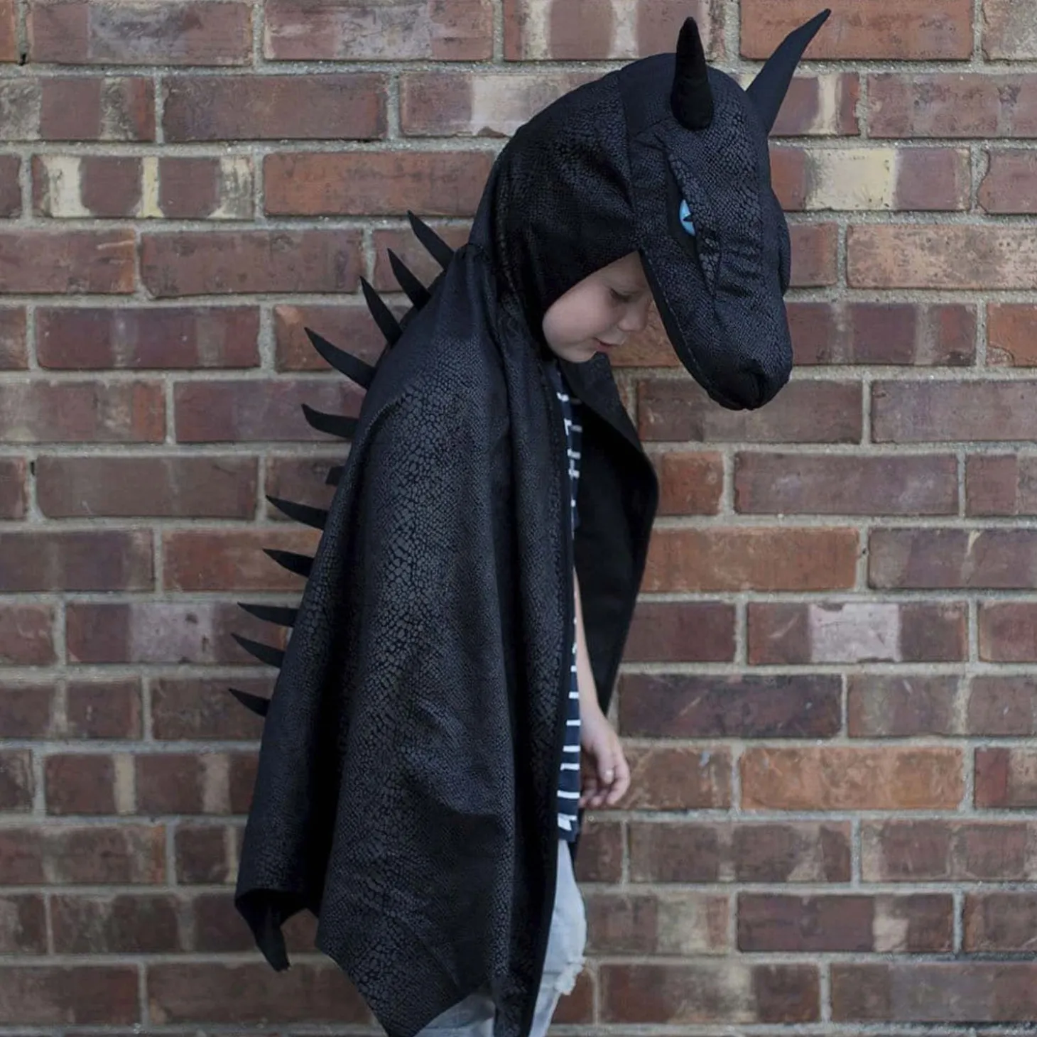 Cape Nacht Draak met Vinnen, 5-6 jaar