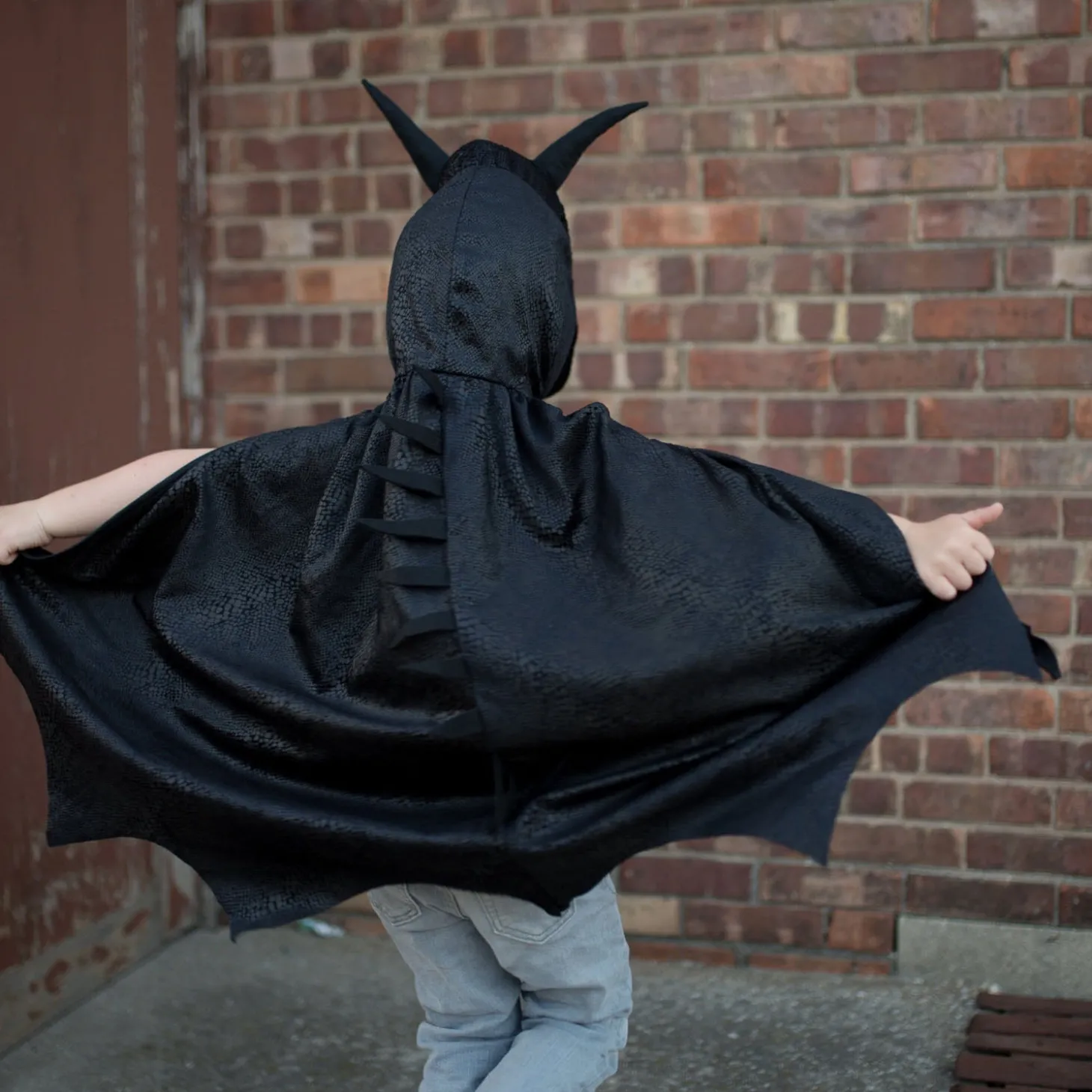 Cape Nacht Draak met Vinnen, 5-6 jaar