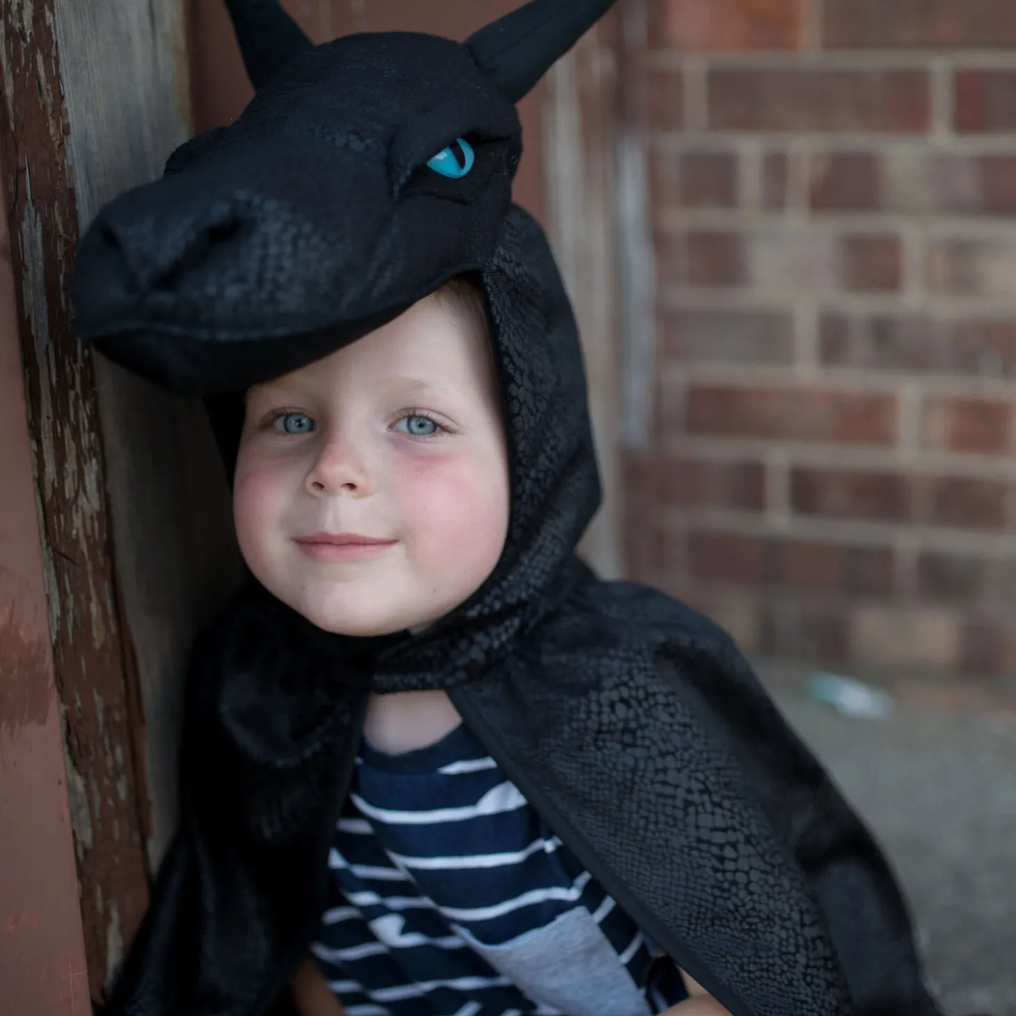 Cape Nacht Draak met Vinnen, 5-6 jaar