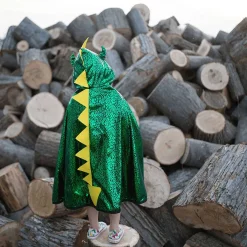 Cape Ridder/Draak Omkeerbaar, 5-6 jaar