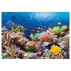 Castorland Legpuzzel Coral Reef Fishes, 1000st.