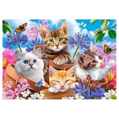 Castorland Legpuzzel Kittens with Flowers, 500st.