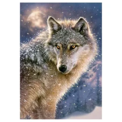 Castorland Legpuzzel Lone Wolf, 500st.
