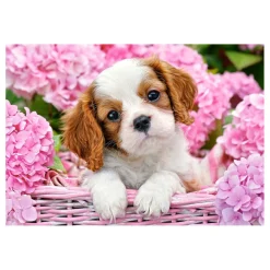 Castorland Legpuzzel Pup in pink flowers, 500st.
