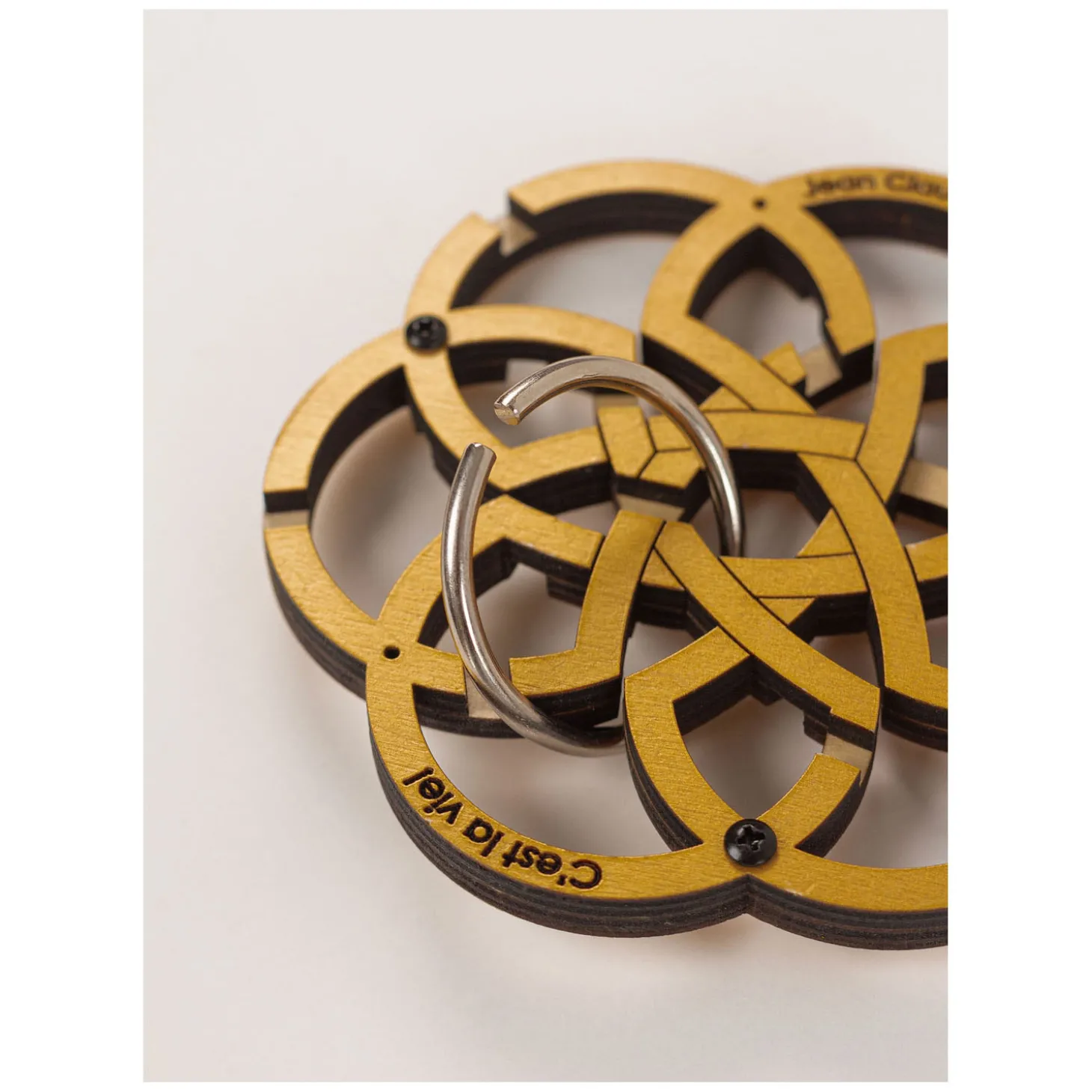 Cest La Vie Breinpuzzel