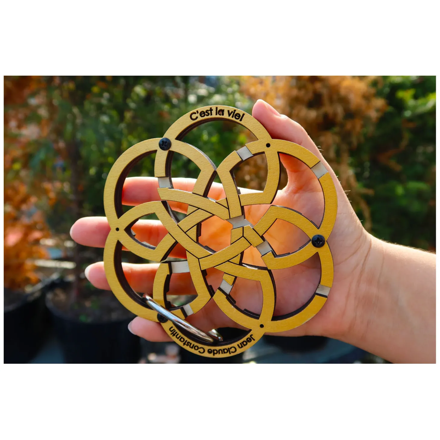 Cest La Vie Breinpuzzel