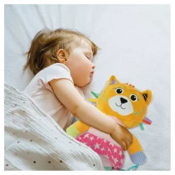 Clementoni Baby Mijn Eerste Dierenknuffel - Kat