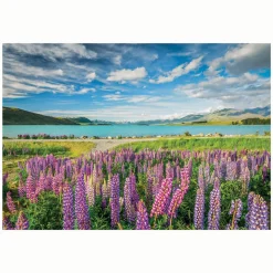 Clementoni Legpuzzel Bloemen bij Lake Tekapo, 1500st.