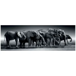 Clementoni Legpuzzel Panorama Herd of Giants, 1000st.