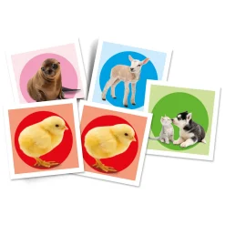 Clementoni Memospel Puppies