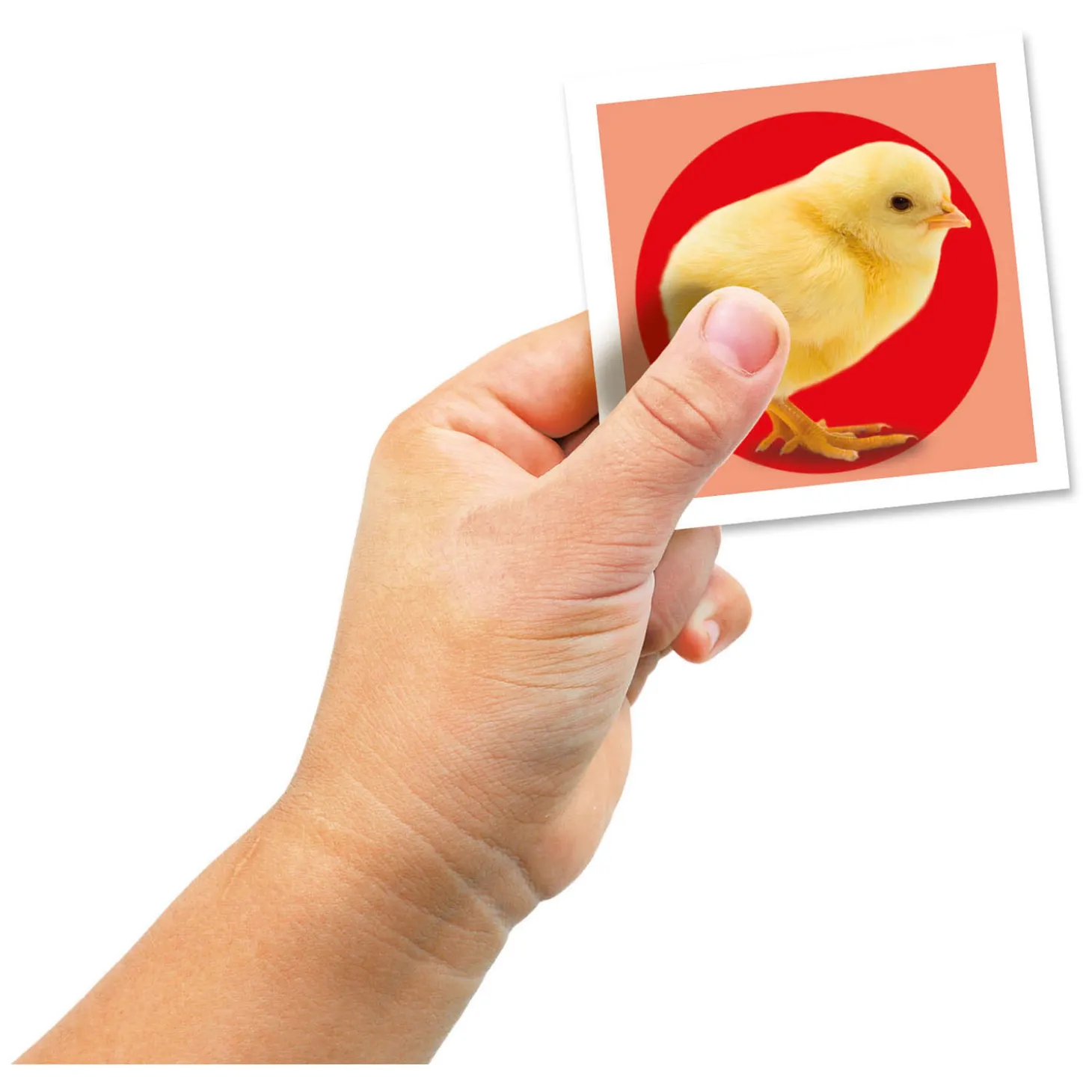 Clementoni Memospel Puppies