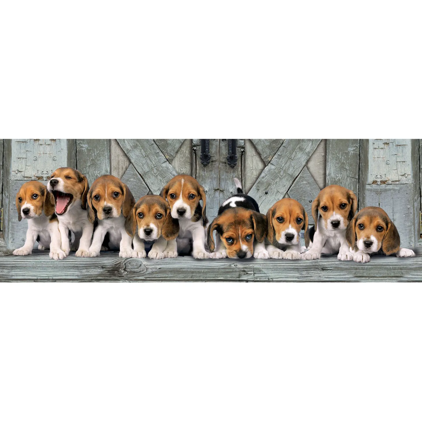 Clementoni Panorama Puzzel Beagles, 1000st.
