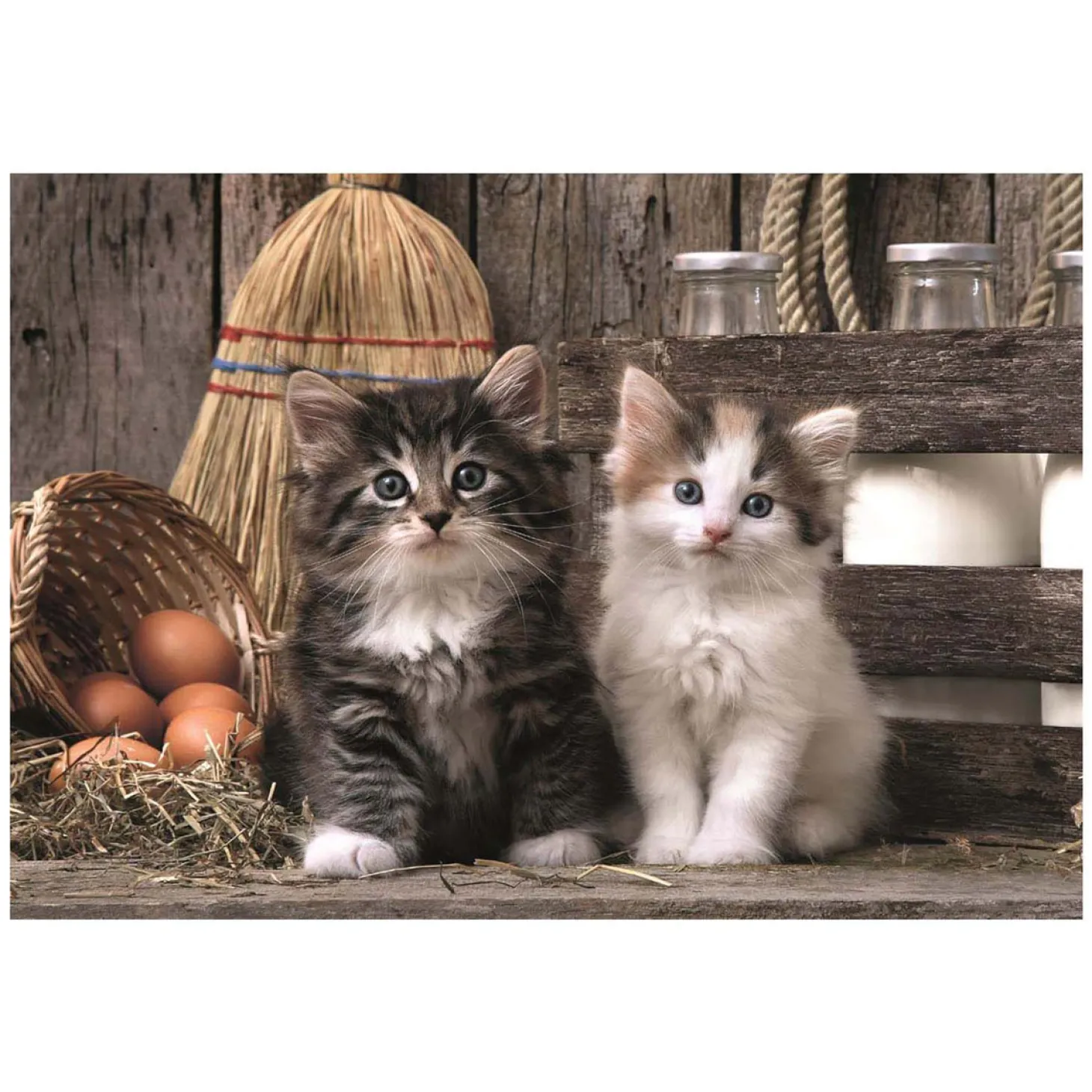 Clementoni Puzzel - Schattige Kittens, 1000st.