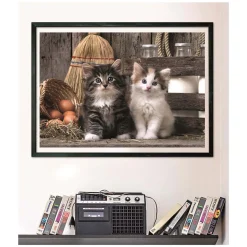 Clementoni Puzzel - Schattige Kittens, 1000st.