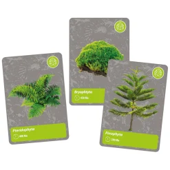 Clementoni Wetenschap en Spel - Geschiedenis van Leven op Aarde