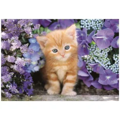 Clemetoni Legpuzzel Ginger Cat, 500st.