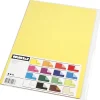 Color Bar Papier Kleur A4 100gr, 16 Vellen
