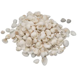 Colorations - Kleine Ark Schelpen, 500 gram