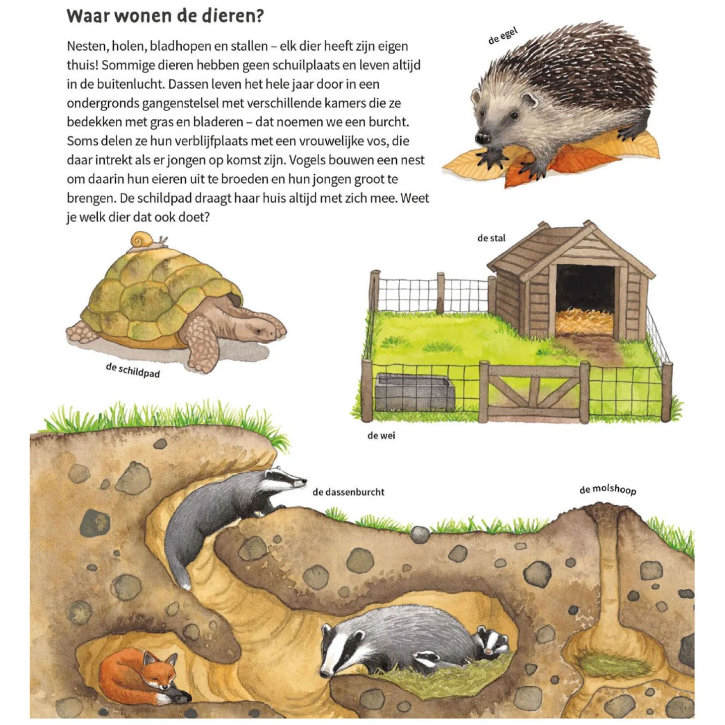 De Dieren Om Ons Heen Kartonboek (2-4 j.)