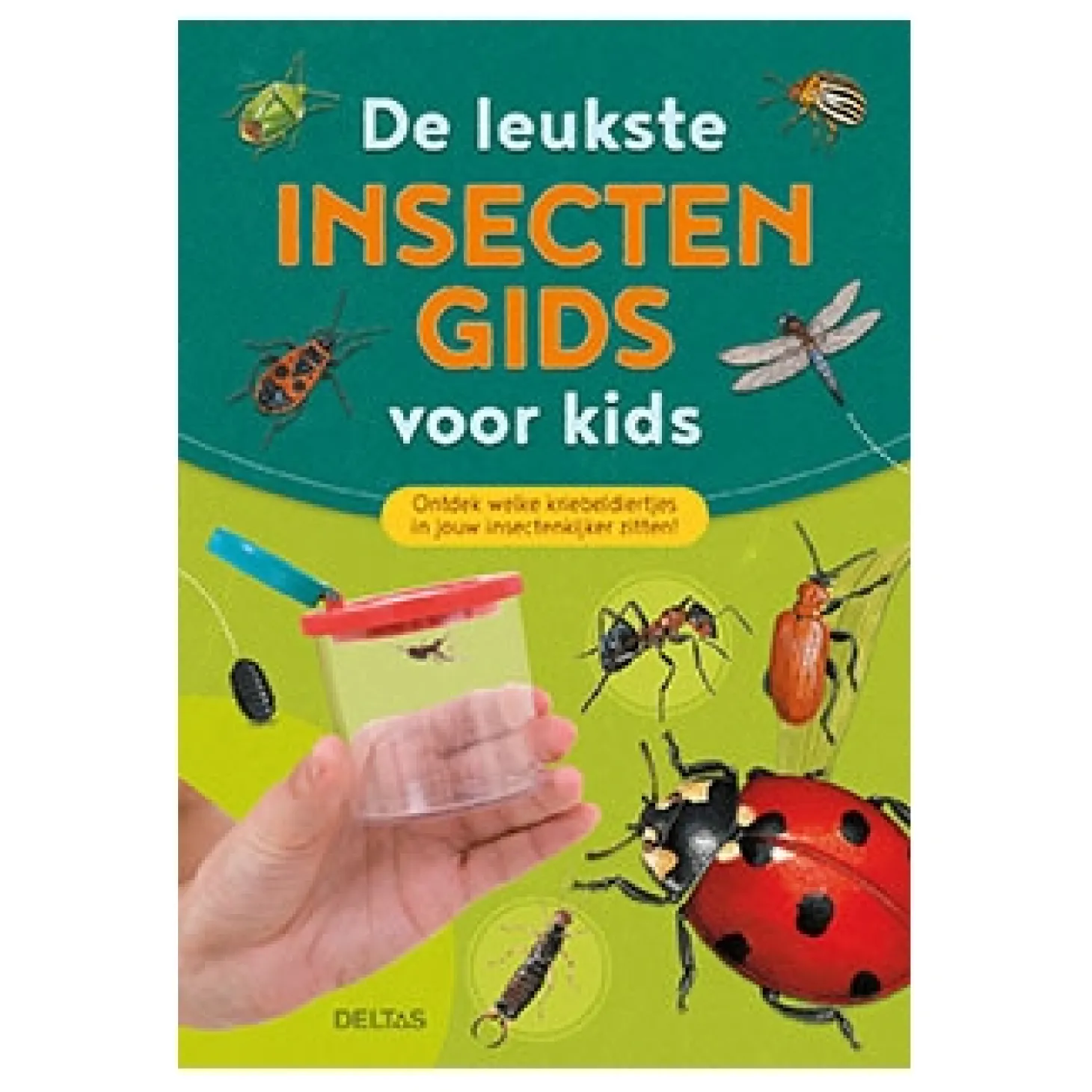 De leukste insectengids voor kids
